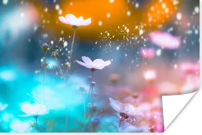 Produktbild von MuchoWow® Poster Blumen - Frühling - Farben 60x40 cm - Schlafzimmerdekoration