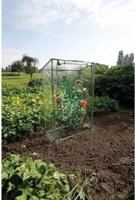 Zdjęcie produktu dla Szklarnia na Pomidory Nature, 100x50x150 cm, Polietylen, Metal, Anti-UV, Biała, 6 m²