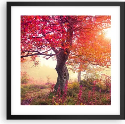 Produktbild von Gerahmtes Poster - Schwarzer Rahmen - Baum Natur Wiese - 40x40 cm - Wand Bild - Wanddeko - Wandbilder - Kunstposter - Wandposter - Bilderrahmen - Bilder - Kunstdruck - Wandbild - P2BAC40x40-3658