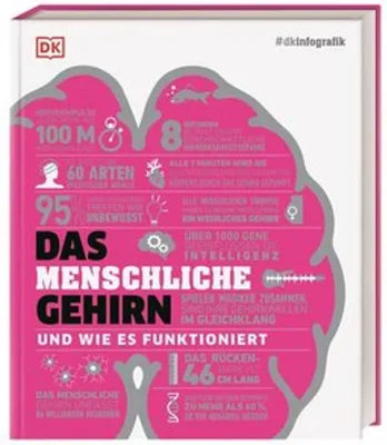 Immagine prodotto di #dkinfografik. Das menschliche Gehirn und wie es funktioniert