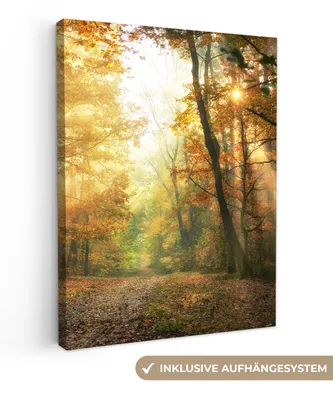 Obrázek produktu pro OneMillionCanvasses® - Obraz na plátně - les - podzim - slunce - krajina - příroda - stromy - listí, nástěnná malba, nástěnné dekorace obrazy obývací pokoj, 90x120cm