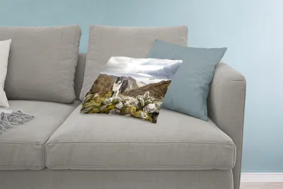 Produktbild von MuchoWow® Zierkissen Sofakissen Wohnzimmer Dekokissen 60x40 cm Ein Border Collie steht auf dem Gipfel des Berges - Kopfkissen - Polster mit Foto