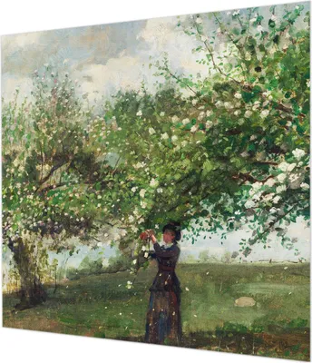 Produktbild von Wandtapete - Dekorative Tapete für Wohnzimmer  - Tapetenfolie für Wanddekoration - 250x250 cm - Frühlingsszene