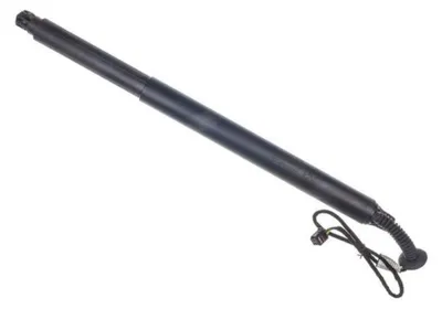 Productafbeelding van EBG Elektrische linkse rechtse achterklep gasveer Volvo 31457610 31663099