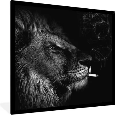 Produktbild von MuchoWow® Gerahmtes Poster Löwe - Rauchen - Schwarz - Weiß 40x40 cm - Poster mit Schwarzem Bilderrahmen Wandposter Rahmen Foto Bilder - Mit Rahmen - Wanddekoration Schlafzimmer