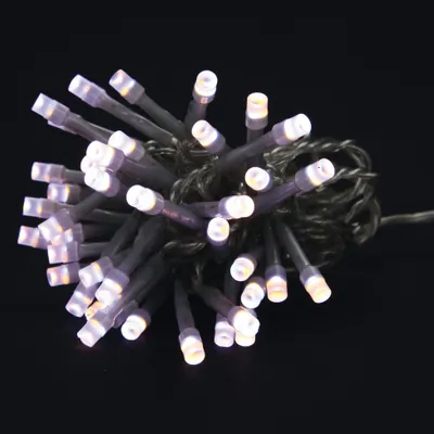 Image de Guirlande bicolore 80 Led