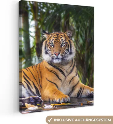 Produktbild von MuchoWow® - Leinwandbilder - Tiger - Tiere - Wald - Dschungel, Wandbild, Wanddeko Bilder Wohnzimmer, 90x120cm