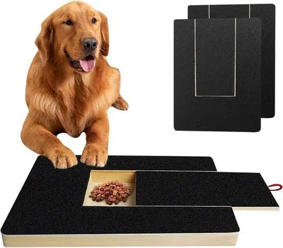 Produktbild von Hundeklopfplatte mit Snackbox, 2 Ersatzblättern und Nagelklingen für Hunde Pflege