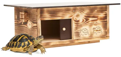 Productafbeelding van Hoogwaardig Schildpadhuis van Massief Hout