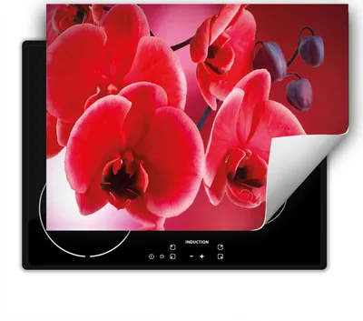 Produktbild von DarHaus Herdabdeckplatte 80x52 cm Anti Rutsch Matte Aufrollbar, rot - Orchidee