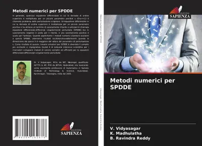 Produktbild von Metodi numerici per SPDDE