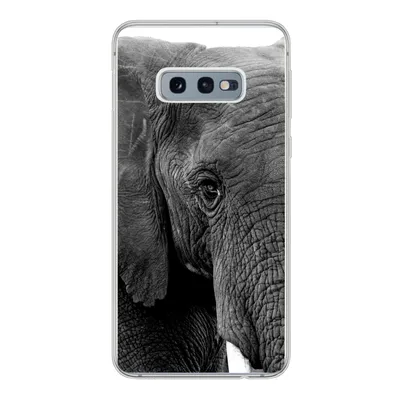 Produktbild von MuchoWow® Handyhülle Schutzhülle Hülle für Samsung Galaxy S10e Elefant - Tiere - Schwarz - Weiß - Natur Silikon Softcase Handy Hülle - Handy
