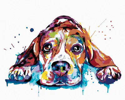 Obrázok produktu pre Zuty - Maľovanie podľa čísel - FAREBNÝ OROL, 40x50 cm, vypnuté plátno na rám
