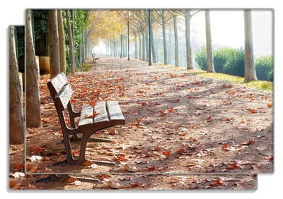 Produktbild von Wallario Frühstücksbrettchen 2er Set aus Glas, je 20 x 30 cm, mit rutschfesten Füßen, Motiv Einsame Parkbank an einer Allee - Herbststimmung