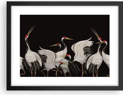 Produktbild von Gerahmtes Poster - Schwarzer Rahmen - Kraniche Vögel Grafiken - 40x30 cm - Wand Bild - Wanddeko - Wandbilder - Kunstposter - Wandposter - Bilderrahmen - Bilder - Kunstdruck - P2BAA40x30-4748