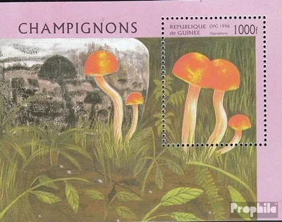 Produktbild von Briefmarken Guinea 1996 Mi Block505 (kompl.Ausg.) postfrisch Pilze