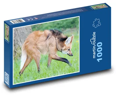 Obrázek produktu pro martinpuzzle - Puzzle 1000 - Vlk
