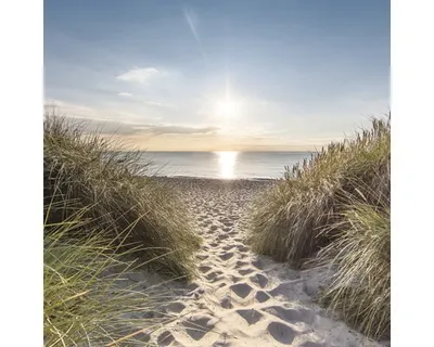 Produktbild von Giclée Leinwandbild Nordsee 100x100 cm