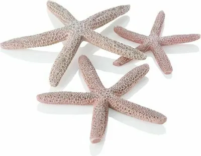 Obrázek produktu pro biOrb starfish Set 3 natural