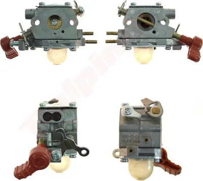 Image de Carburateur Pour Mtd ( 753-06288 , 751-11244 , C1U-P27 )