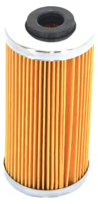 Imagen del producto de Filtro de aceite para Sherco, compatible con Husqvarna y BMW G450X (modelo HF611)