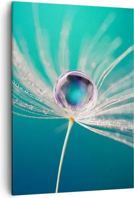 Produktbild von Bild auf Leinwand - Leinwandbild - Einteilig - Pflanze Natur - 50x70cm - Wand Bild - Wanddeko - Wandbilder - Leinwanddruck - Kunstdruck - Wanddekoration - Leinwand bilder - Wandbild - PA50x70-3991
