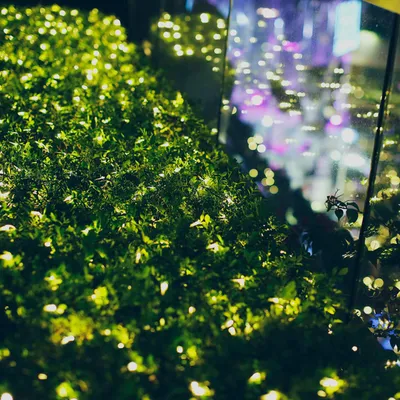 Obrázek produktu pro Eikuavons řetěz světel s 96 LED diodami, rozměry 1,5 x 1,5 metru, teplé bílé barvy, 31V, stupeň krytí IP44, 8 režimů s pamětí, vhodné pro venkovní vánoční osvětlení