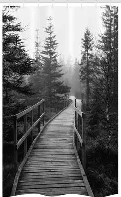 Produktbild von ABAKUHAUS Natur Schmaler Duschvorhang, Pathway in Wildnis, Badezimmer Deko Set aus Stoff mit Haken, 120 x 180 cm, Schwarz und weiß