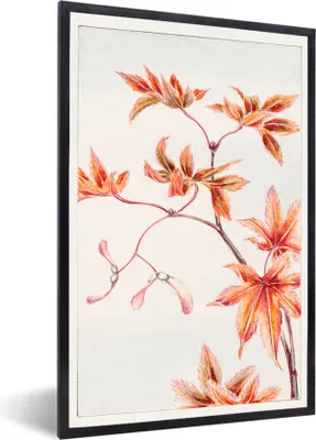 Produktbild von MuchoWow® Gerahmtes Poster Japanischer Ahorn - Blätter - Herbst 40x60 cm - Poster mit Schwarzem Bilderrahmen Wandposter Rahmen Foto Bilder - Papierdruck - Wandbilder