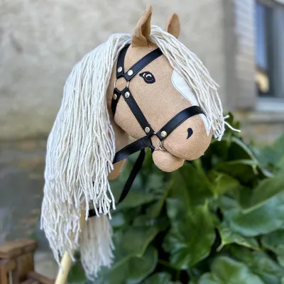 Image de Hobby Horse Palomino à longue crinière et queue amovible - Taille A4