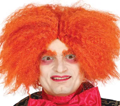 Immagine prodotto di Cappello di Carnevale Uomo Parrucca Arancione Costume Accessorio Splendide Apparizioni Carnevale Festa Travestimento Creativo Capelli Giornata Mondiale del Libro Ispirato, Colore: Arancione