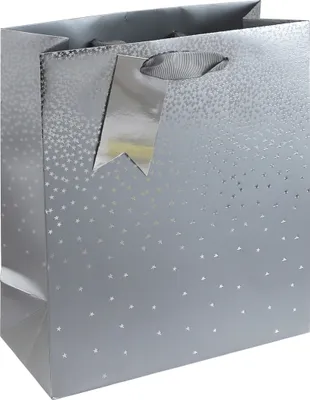 Produktbild von Clairefontaine 6x Geschenktasche M, 21,5x10,2x25,3 cm - Silber 30864-3C