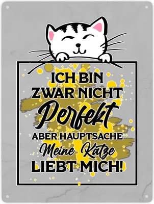 Produktbild von Meine Katze liebt mich Katzen Spruch Metallschild XXL in 28x38 cm für