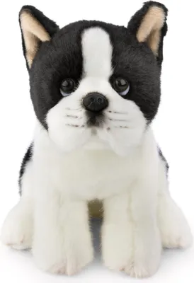 Produktbild von Nici,Kuscheltier Hund Bosten Terrier 20cm,62602