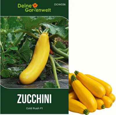 Produktbild von Zucchini Gold Rush F1 Samen - Cucurbita pepo - Zucchinisamen - Gemüsesamen - Saatgut für 7 Pflanzen