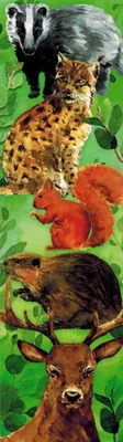 Produktbild von Tiere. Doppelseitiges Lesezeichen