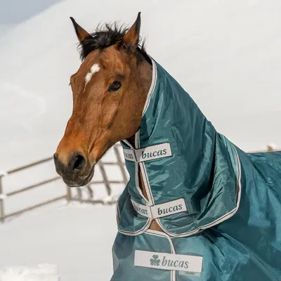 Produktbild von BUCAS Atlantic Combi Neck Halsteil 50g, green, Buc17_Gr.:145 cm