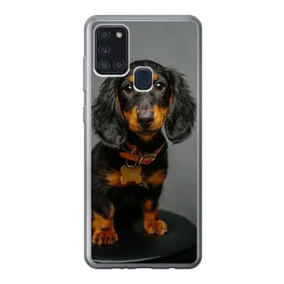Produktbild von MuchoWow® Handyhülle Schutzhülle Hülle für Samsung Galaxy A21s Studiofoto eines Dackelwelpen Silikon Softcase Handy Hülle - Hartschale
