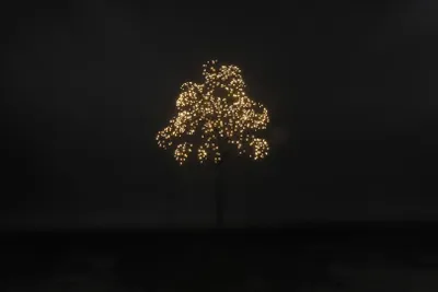 Produktbild von Zeitloser Weihnachtsbaum Dorion S in Schwarz mit integrierter LED-Beleuchtung
