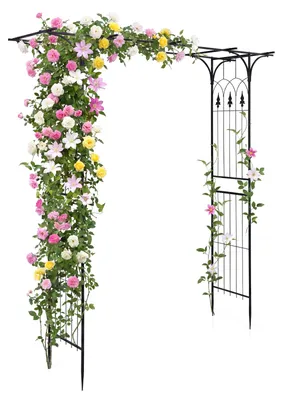 Immagine prodotto di Arco di rose in metallo, struttura per piante rampicanti e vasi pensili, griglia per piante rampicanti, arco da giardino per giardino, matrimonio e feste, colore nero
