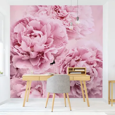 Produktbild von Fototapete Blumen - Vliestapete - Bildtapete UV-beständig Rose rosa Landhaus Wandtapete geruchsfrei