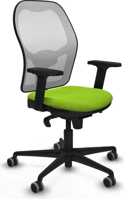 Image de Gaming-Stuhl Piqueras y Crespo 2D036G0 Pistazienfarben