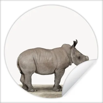 Produktbild von MuchoWow® Runde Wandtattoo - Wandsticker Tapete Aufkleber Rhinozeros - Tiere - Jungen - Mädchen Ø 100 cm Selbstklebend und Repositionierbar - Wandaufkleber - Kreis - Tapetenkreis - Wandbild rund - Schlafzimmerdekoration - Wanddeko - runde Tapete - Kunst für zu Hause