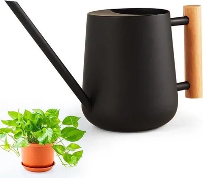 Immagine prodotto di Annaffiatoio da interno in acciaio inossidabile - 1 litro - per piante piccole - beccuccio lungo - annaffiatoio nero