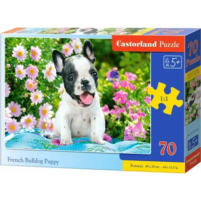 Produktbild von Castorland B-070152, 70 Stück(e), Tiere, 5 Jahr(e)