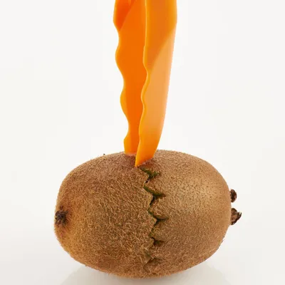 Image de Börner Éplucheur à garnir 6 en 1 vert Éplucheur de fruits et légumes Éplucheur d'asperges Éplucheur de pommes de terre Éplucheur de concombres Râpe végétalienne Râpe à légumes, Couleur:Vert