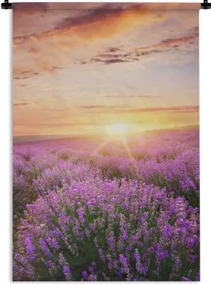 Produktbild von MuchoWow® Wandteppich Wandbehang Lavendel - Sonne - Blumen 60x90 cm Tapisserie Dekoration Wandtuch - Foto-Teppich - Abwaschbar