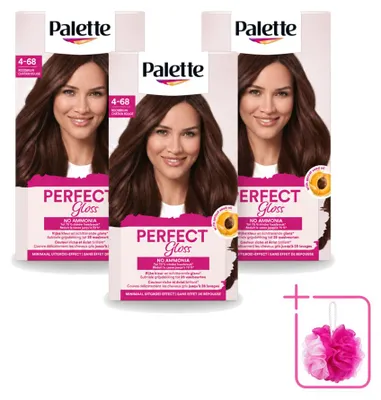 Produktbild von 3 x Palette Perfect Gloss Auswaschbare Intensivtönung 1-0 Schwarz - Sparpackung - 3 Stücke