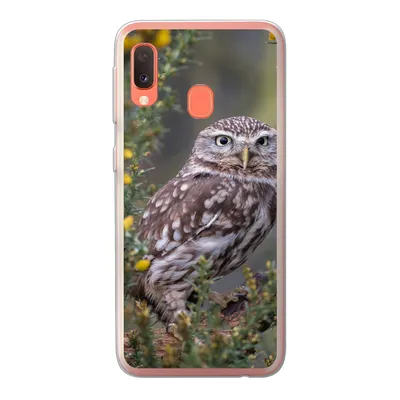 Produktbild von MuchoWow® Handyhülle Schutzhülle Hülle für Samsung Galaxy A20e Eine kleine braune Eule sitzt da und starrt nach vorne Silikon Softcase Handy Hülle - Abdeckung