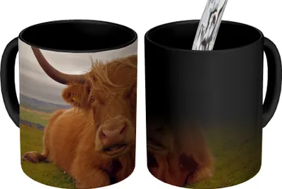 Obrázek produktu pro MuchoWow® Kouzelný pohár Skotský horal - Zvířata - Hory 350 ml Barva měnící se pohár Dárkový nápad - foto hrnek